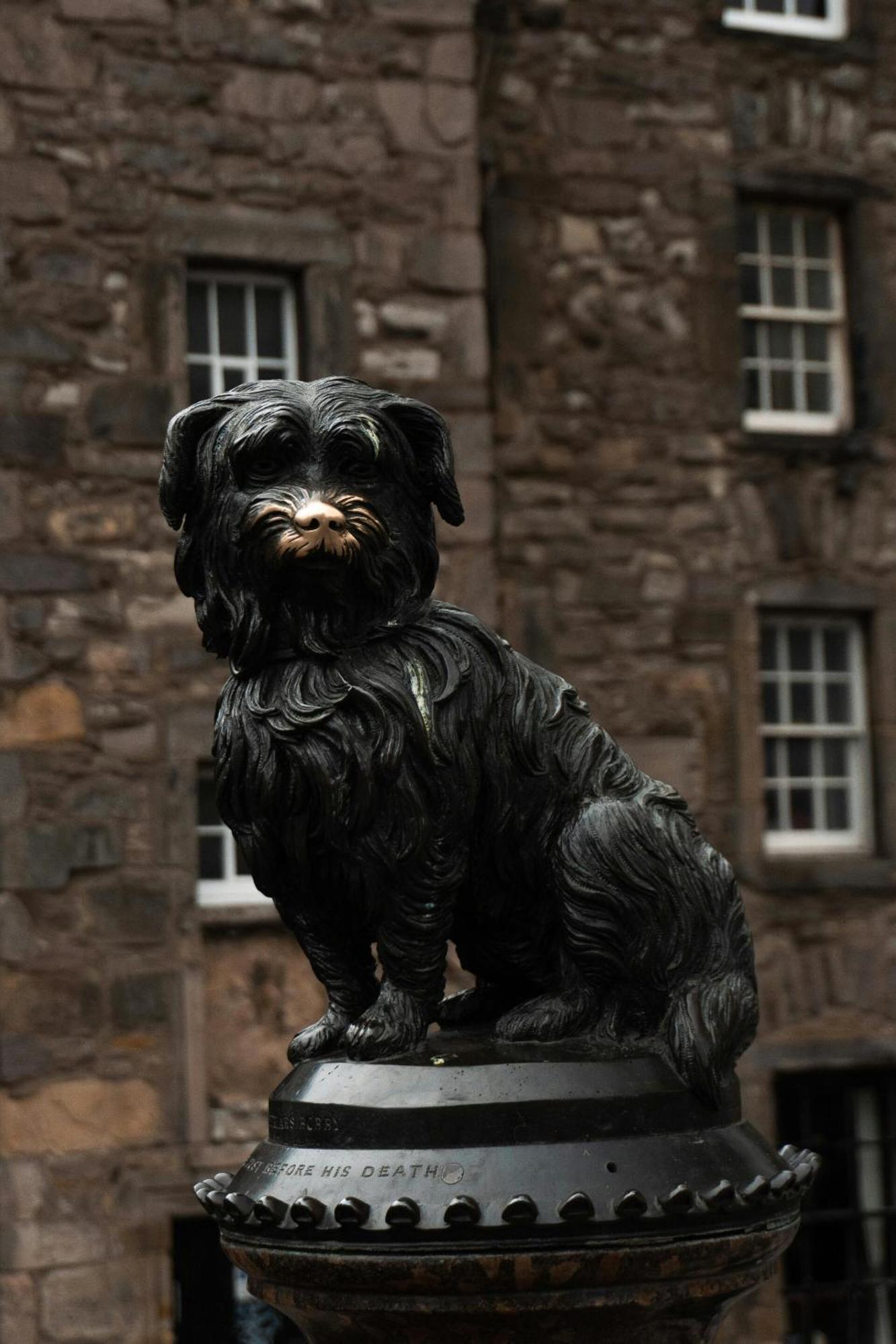 Greyfriars Studio Edimburgo Exterior foto